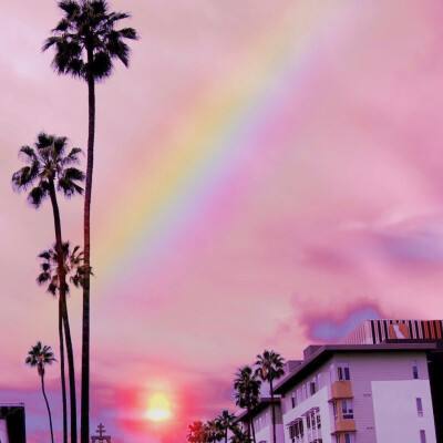 新澳门游戏网站入口app下载