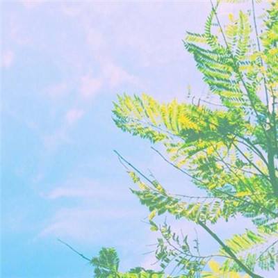 bob·体育综合app